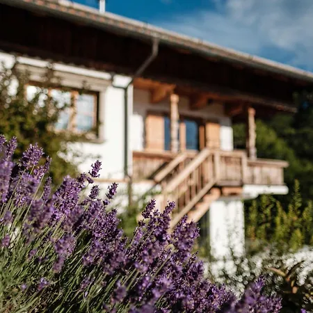 Alpbach - Design تيغرنسي